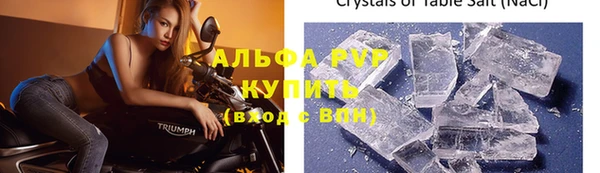 стаф Кукмор
