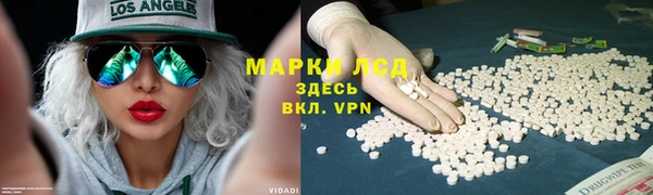 стаф Кукмор