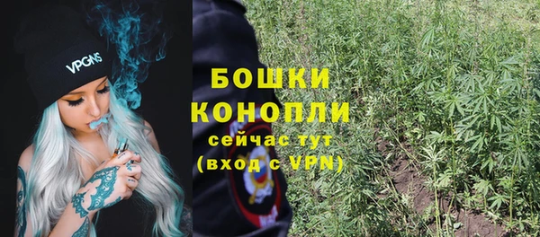 стаф Кукмор